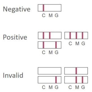 Dengue IgGIgM