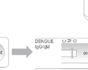 Dengue IgGIgM Test
