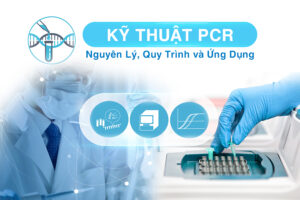 Kỹ thuật PCR