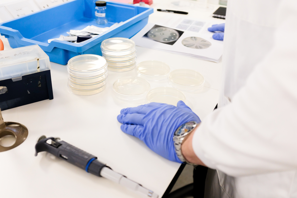 các bước nhuộm gram vi khuẩn