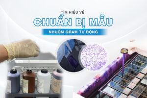 chuẩn bị mẫu nhuộm gram