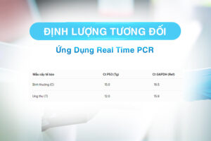 định lượng tương đối real time pcr ứng dụng