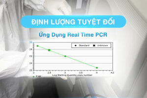 định lượng tuyệt đối real time pcr