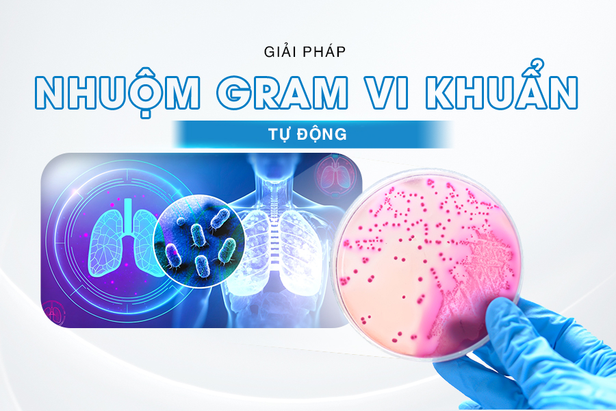 nhuộm gram vi khuẩn