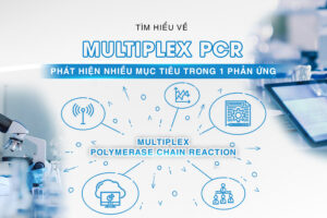 Multiplex PCR