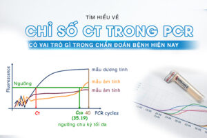 chỉ số ct trong pcr