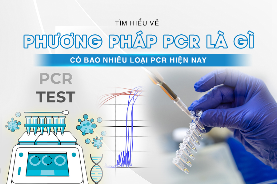 phương pháp PCR