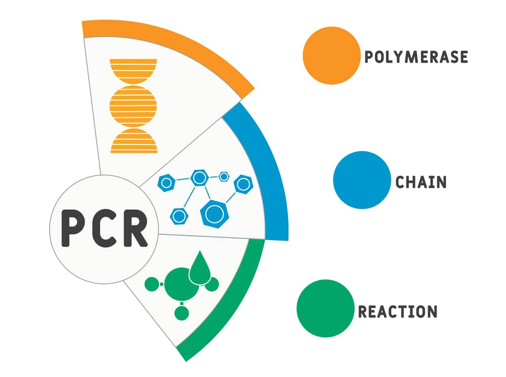 xét nghiệm pcr là gì