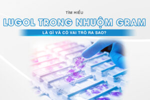 Lugol trong nhuộm gram