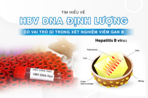 hbv dna định lượng