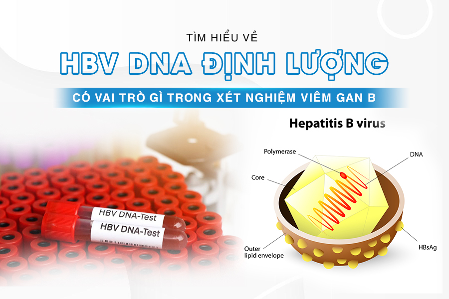 hbv dna định lượng
