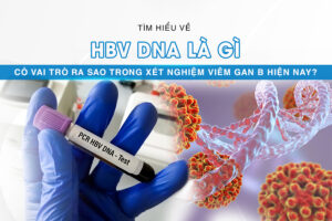 hbv dna là gì