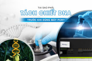 tách chiết dna