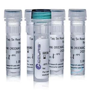 Accuris Taq Polymerase
