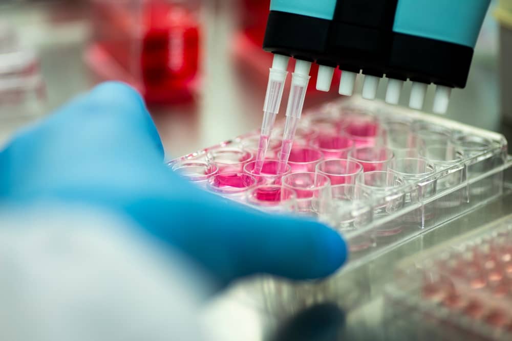 cơ chế sinh học phân tử ứng dụng pcr