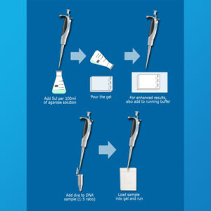 hướng dẫn sử dụng Thuốc nhuộm điện di DNA không độc SmartGlow™ DNA Stains