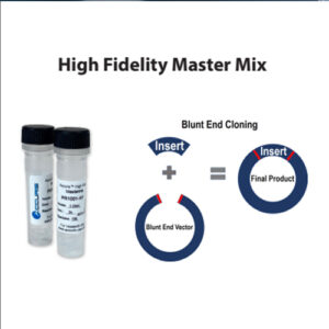Accuris High Fidelty PCR Master Mix