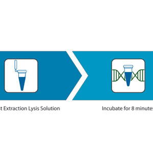 Accuris Fast Extraction PCR Kit Các bước thực hiện