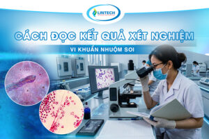 cách đọc kết quả xét nghiệm vi khuẩn nhuộm soi