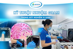 Kỹ thuật nhuộm gram