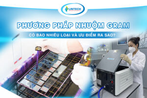 phương pháp nhuộm gram