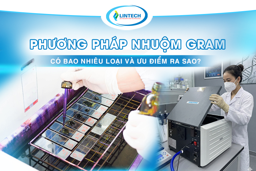 phương pháp nhuộm gram