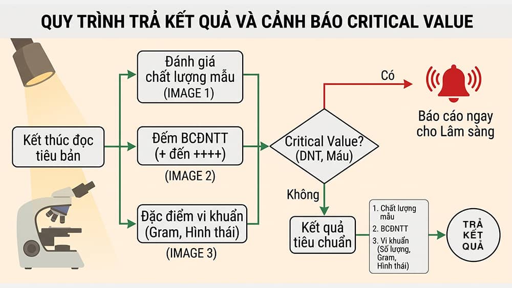Quy trình trả kết quả và Cảnh báo Critical Value