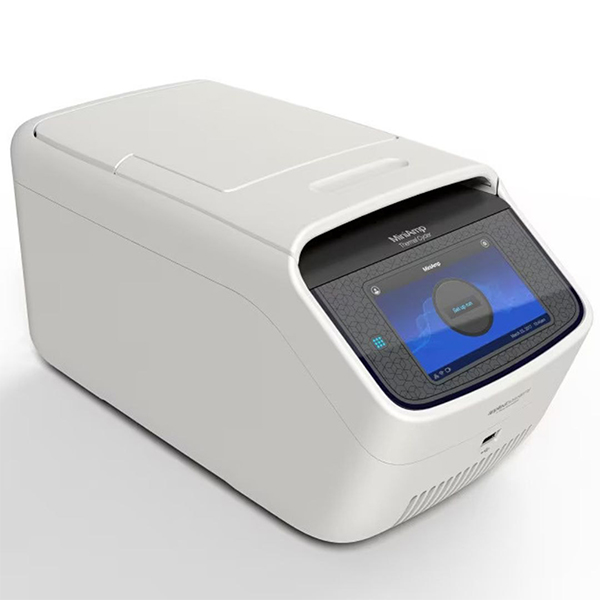 Real time PCR mini amp pcr​