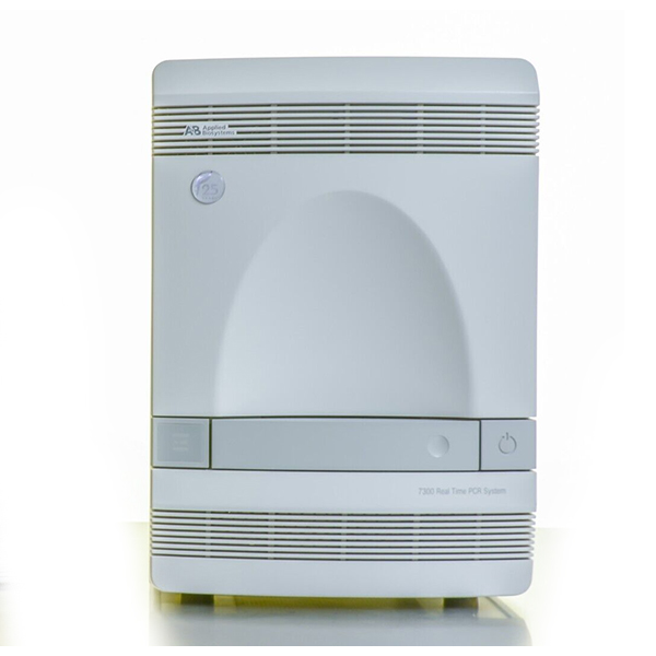 abi 7300 real time pcr