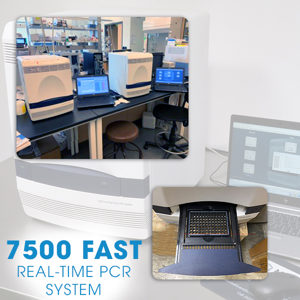 abi 7500 fast real time pcr system​