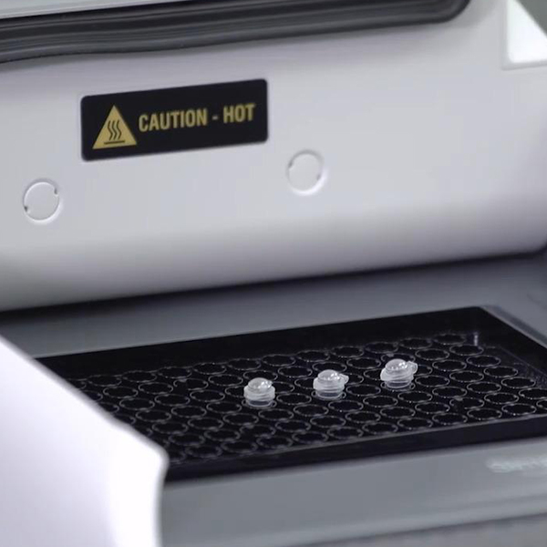 applied biosystems proflex pcr system