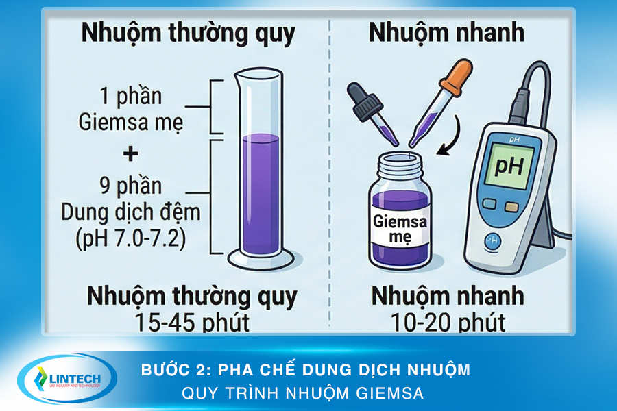 Bước 2 pha chế trong quy trình nhuộm Giemsa