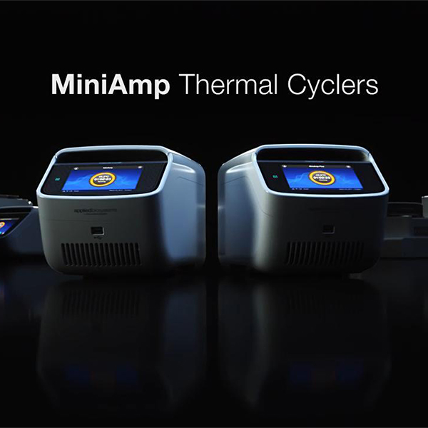 calibration mini amp pcr​