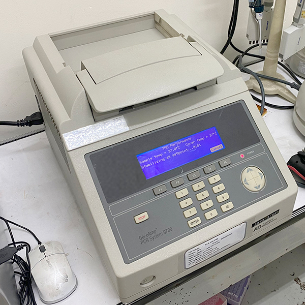 geneamp pcr system 9700 thermal cycler