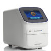 Quantstudio 5 Real Time PCR System