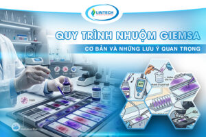 Quy trình nhuộm Giemsa