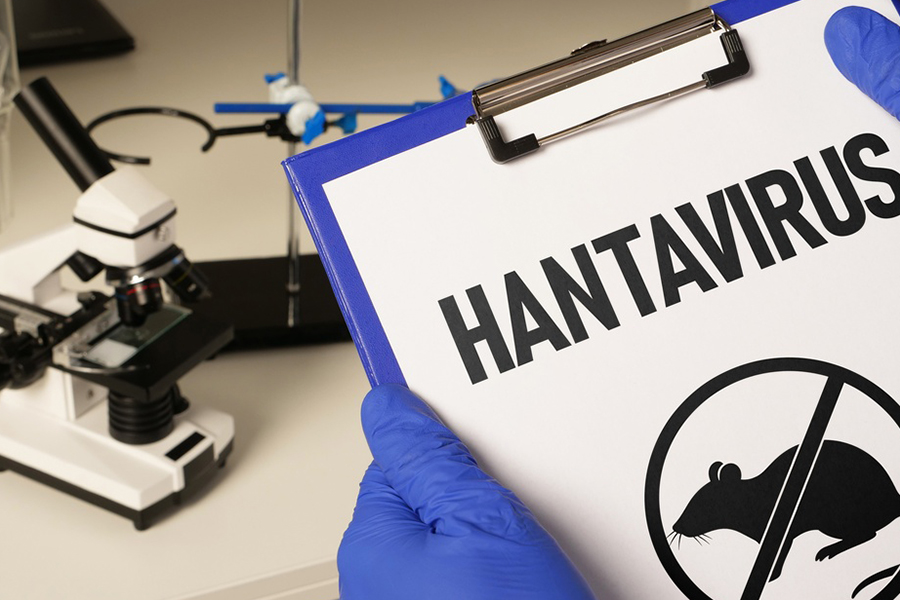 Hantavirus-Symptoms