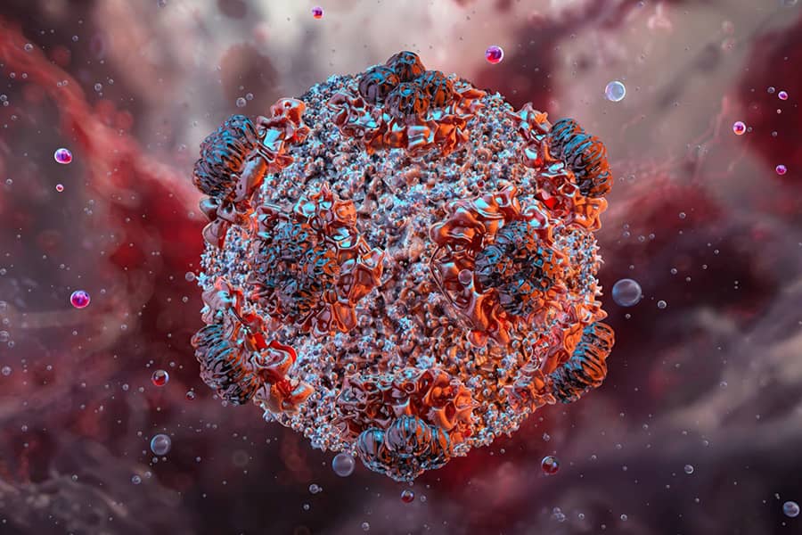 hantavirus treatment