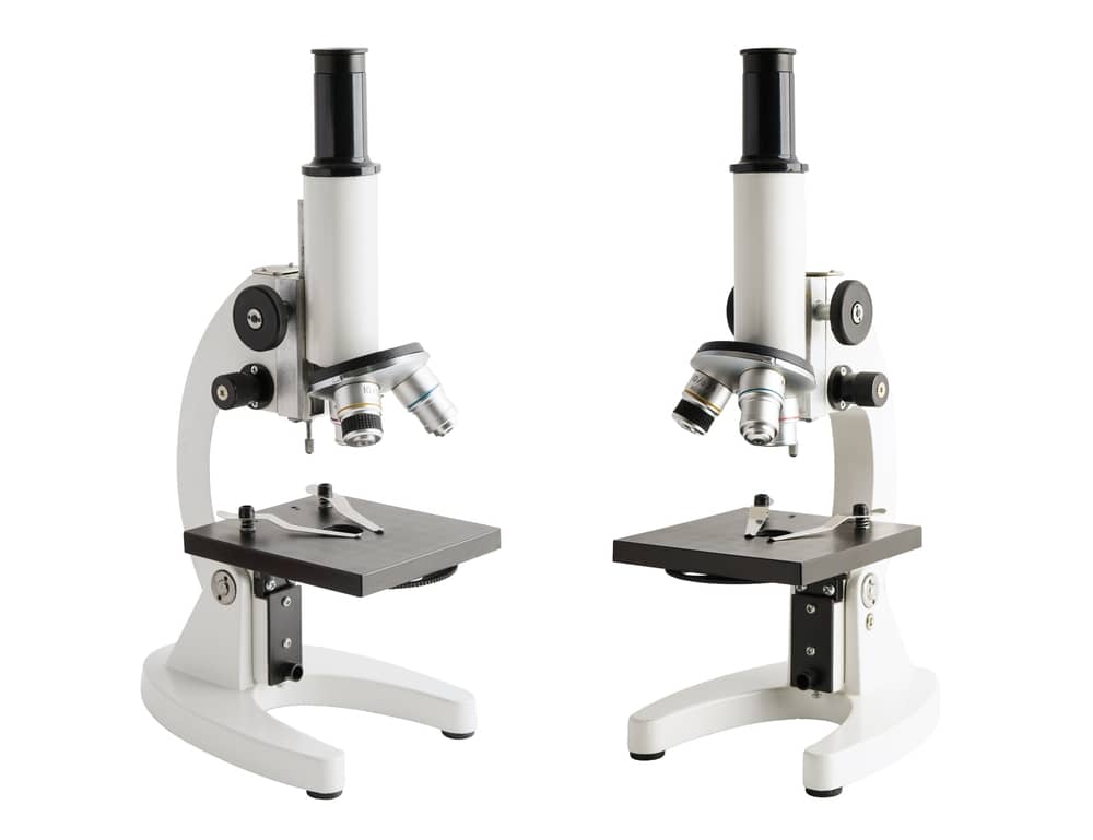 Kính Hiển Vi Đứng Upright Microscope