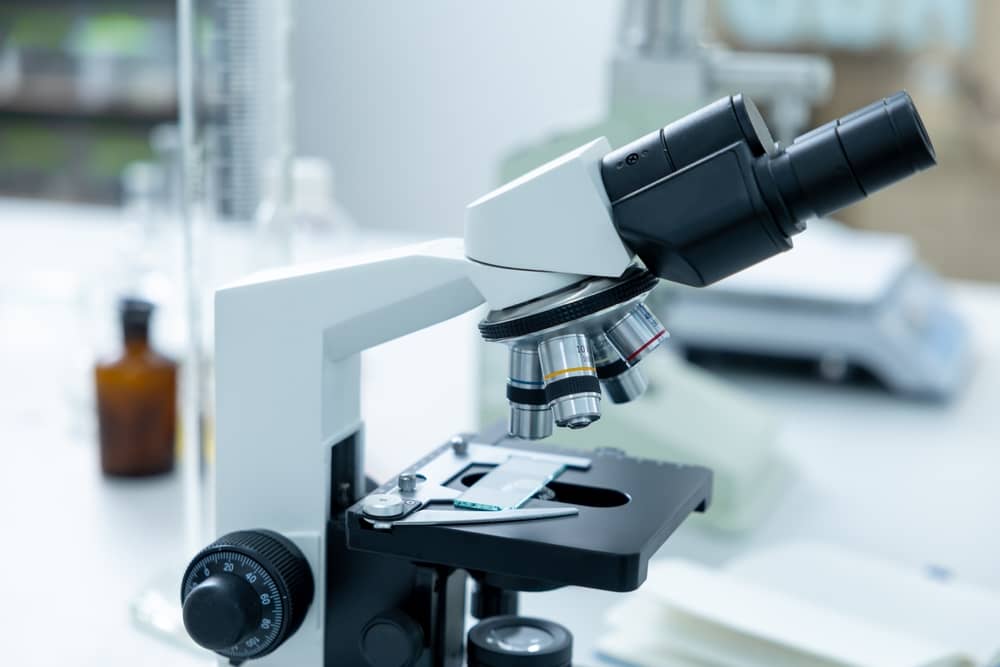 Kính Hiển Vi Quang Học Optical Microscope