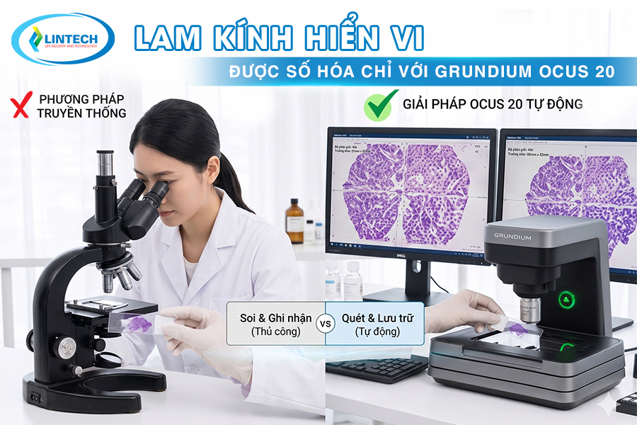 lam kính hiển vi