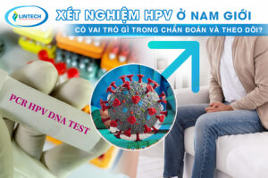 Xét nghiệm HPV ở nam giới