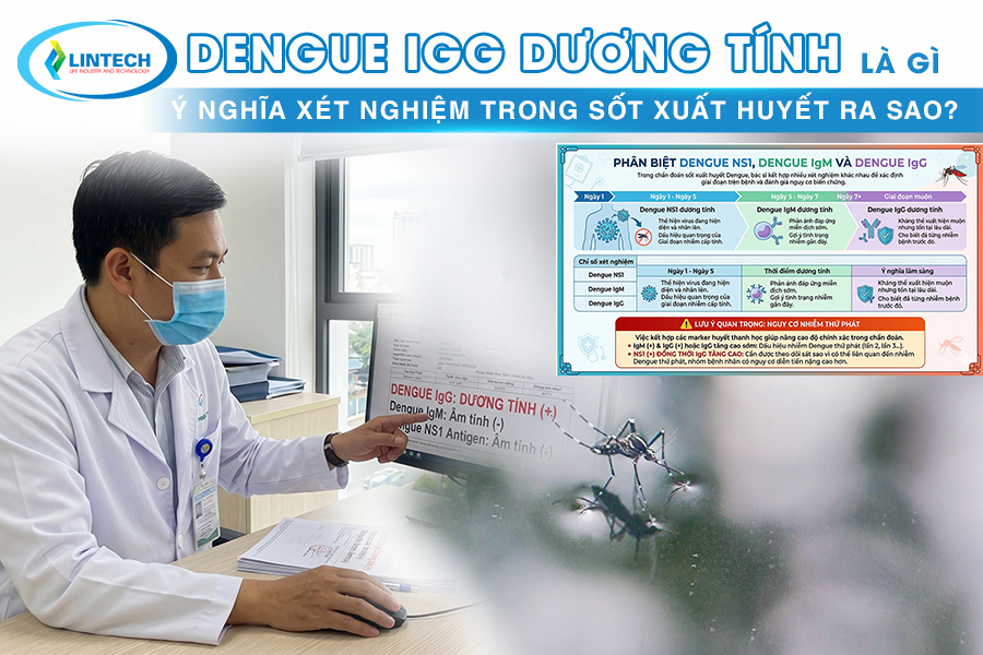 Dengue-IgG-Duong-Tinh-La-Gi