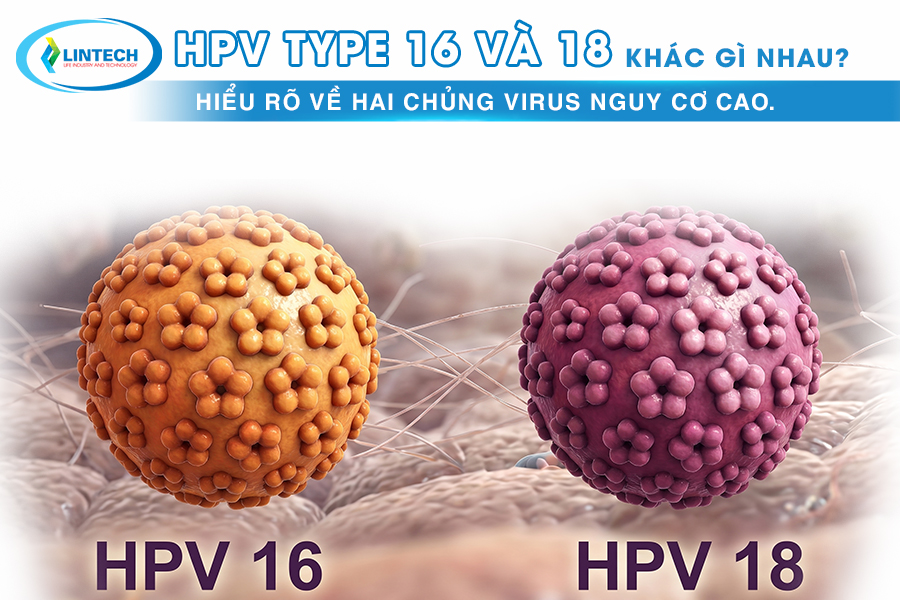HPV 16 18