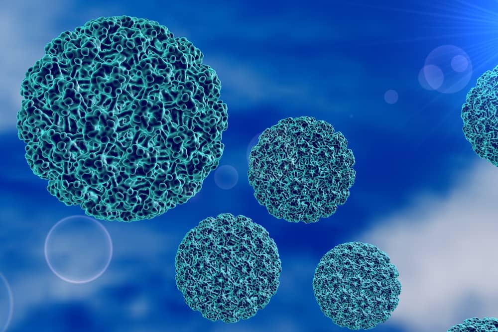 kết quả về HPV 58