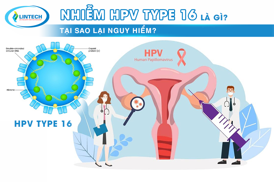 Nhiễm HPV Type 16