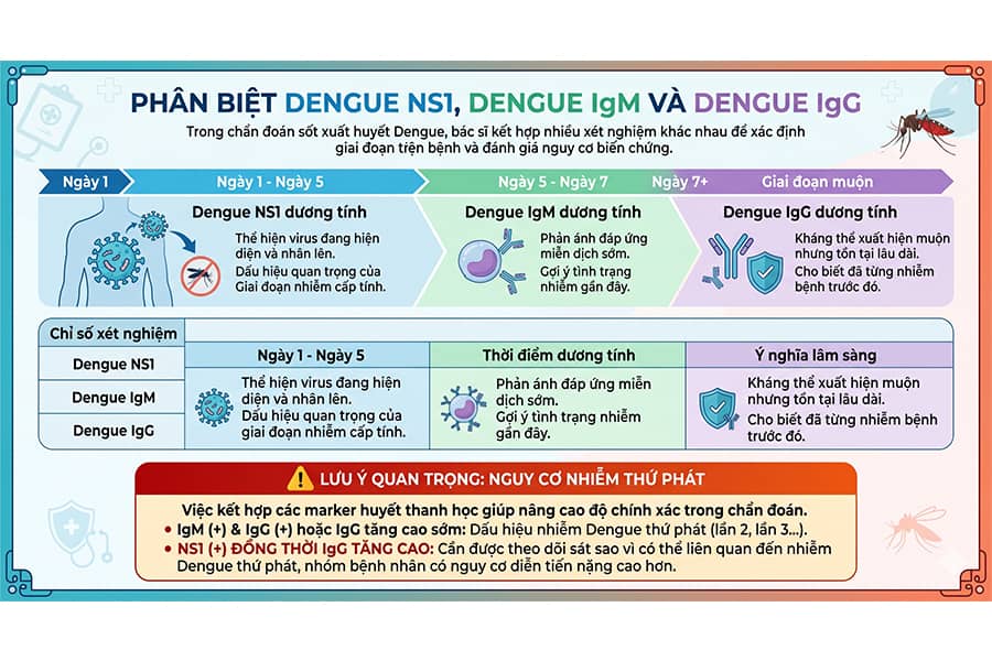 Phân biệt Dengue Ns1 Dengue igm Dengue IgG