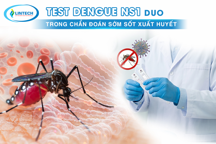 Test Dengue NS1 xét nghiệm nhanh sốt xuất huyết