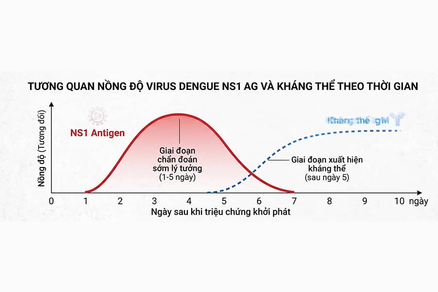 Test nhanh sốt xuất huyết