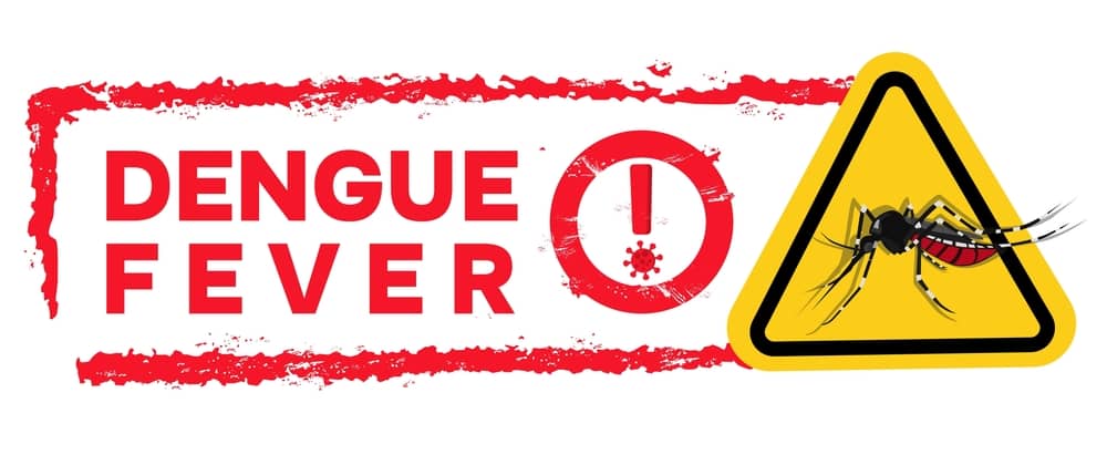 Xét nghiệm Dengue Dương Tính